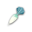 Sand Radish